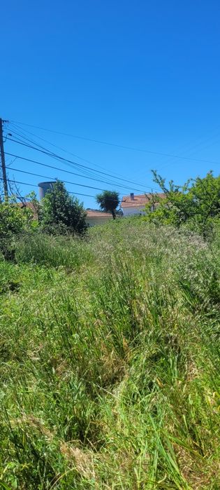 Manutenção de jardins/Limpeza de terrenos/Serviços Agrícolas