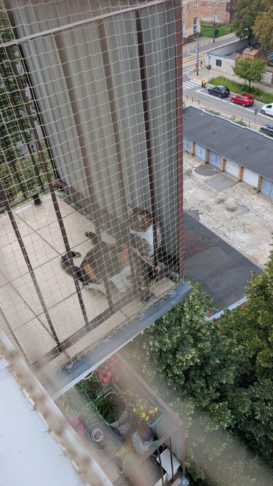 Siatka na balkon dla kota, przeciw gołębiom