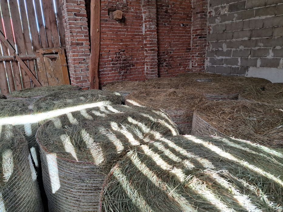 Sprzedam siano 20 balotów