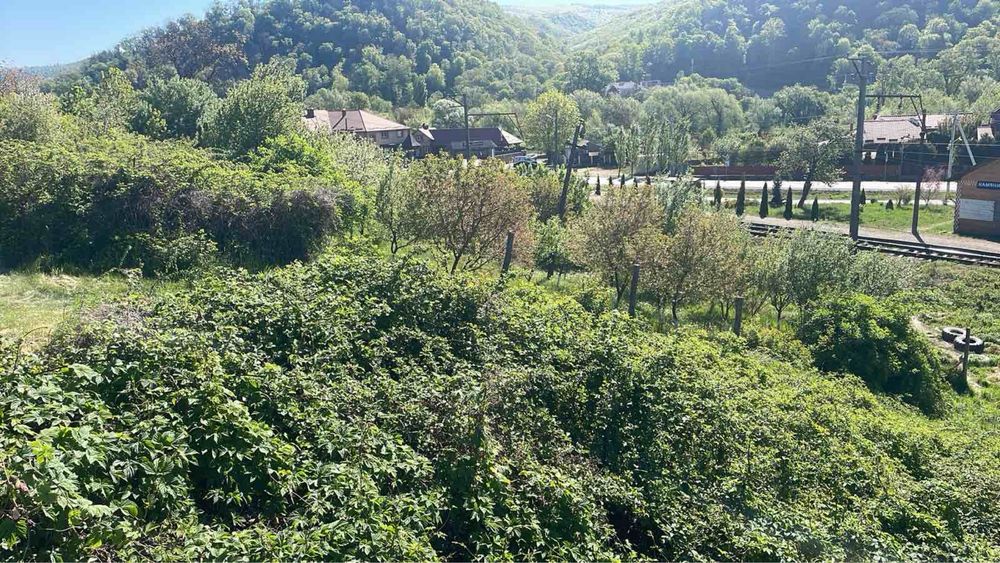 Продам земельну ділянку під будівництво в с.Камʼяниця