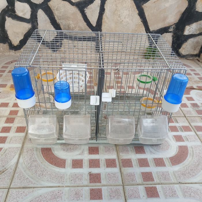 Gaiolas duplas criação