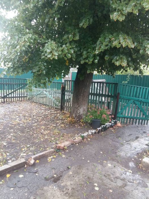 Продам будинок Гадяч