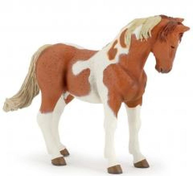 Klacz Pinto folia,135x105x40 mm