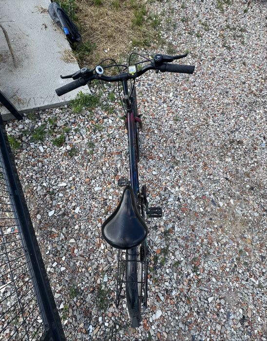 Rower damski damka