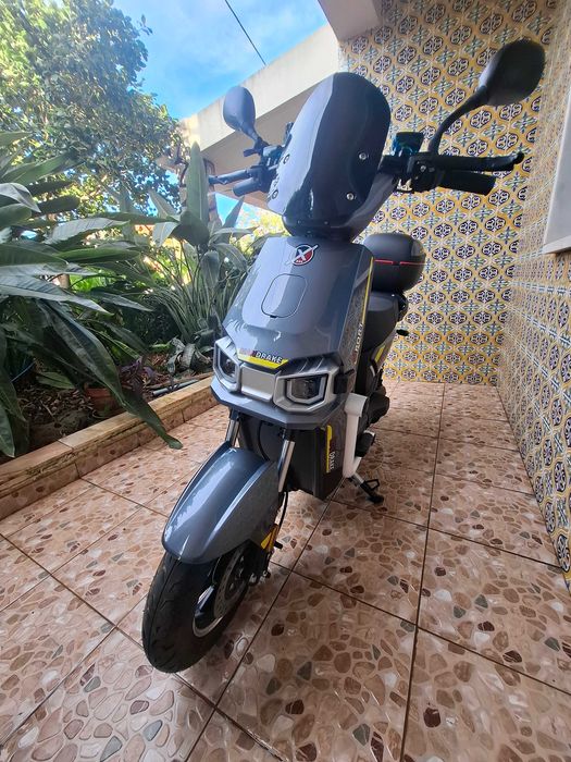 XEC Mandrake 2026
