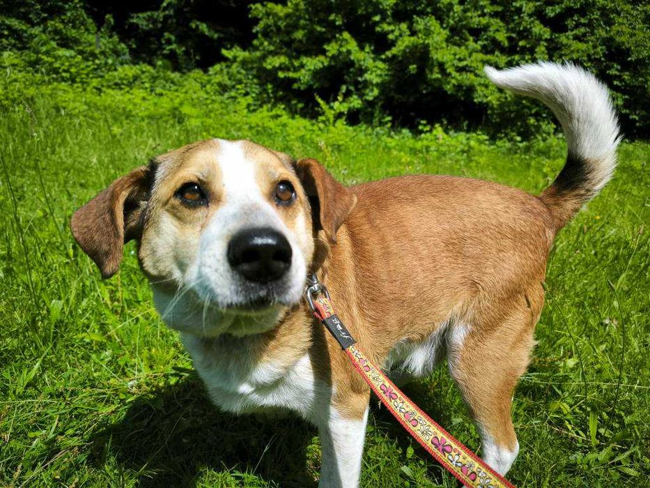 Tak bardzo prosze o dom