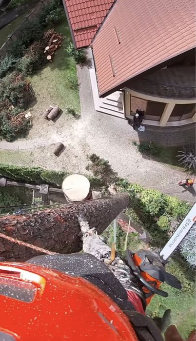 Спил деревьев любой сложности