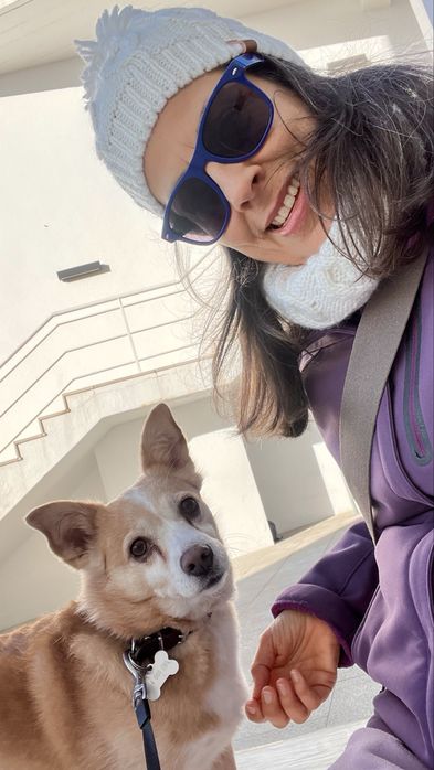 Dog walking e Pet sitting ao domicílio -