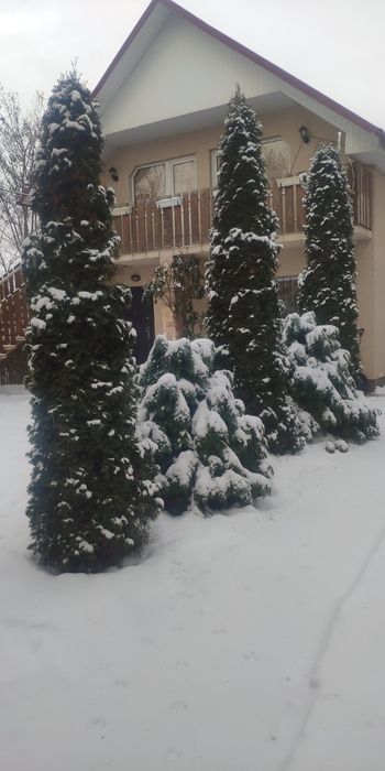 Здається будинок,в с.Дийда,,.біля озера