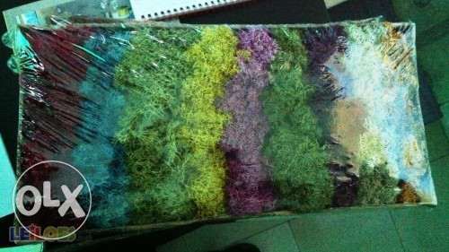 Musgo Natural em Caixa