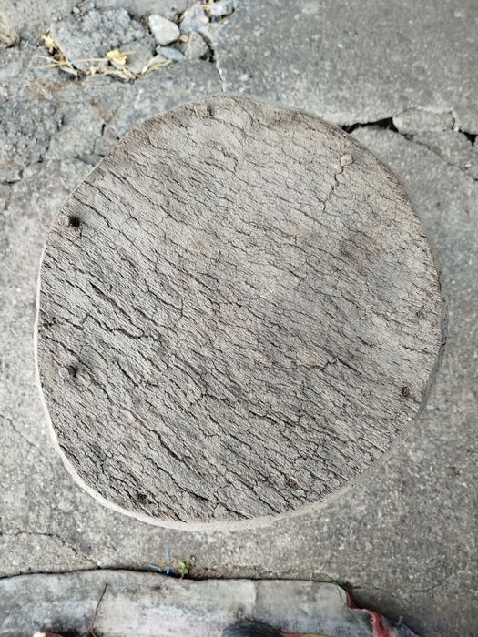 Cortiço artesanal antigo