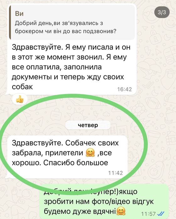 Перевезення тварин доставка животных
