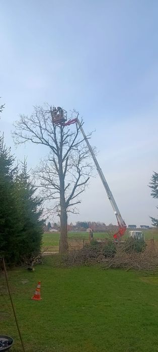 Podnośnik koszowy Odśnieżanie dachów zwyżka Wycinka drzew rębakowanie