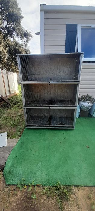 Voadeiras para canarios