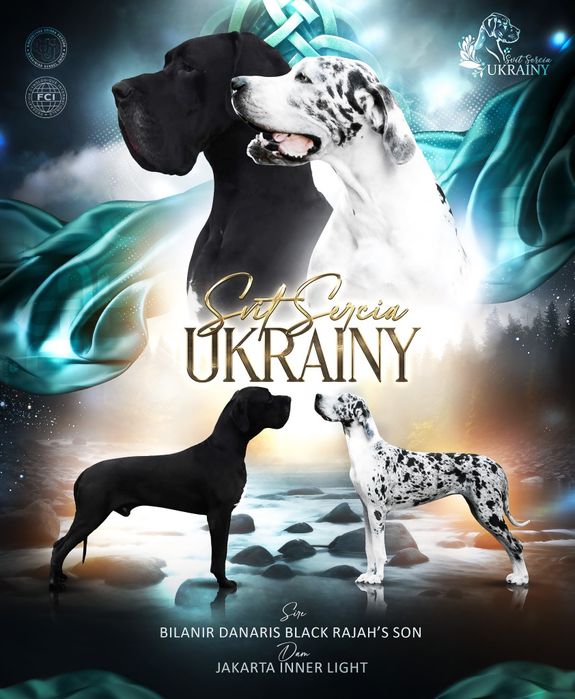 Цуценята німецького дога