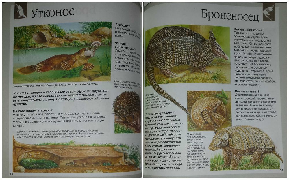 Детские книги Энциклопедии Животные енциклопедія Махаон