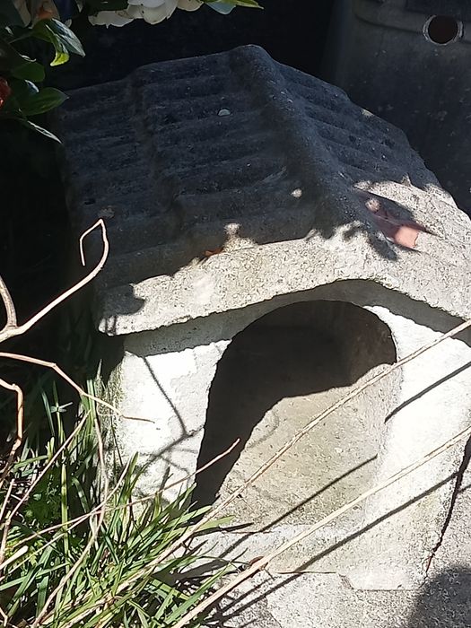 Casinha para animais