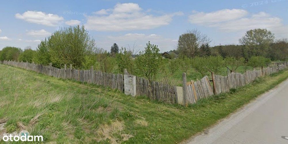 Duża działka z sadem, Włoszczowice, gm. Kije - Widok 3