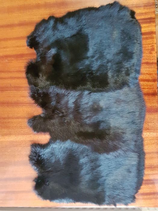 3 Шкурки кролика. ГДР