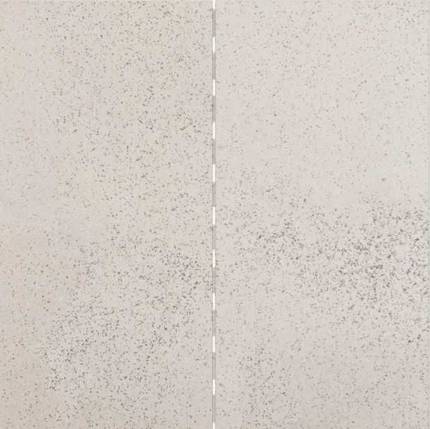 Płyta tarasowa MAGNUM 100x50 cm MELANŻ GALAXY white, carbon HIT !