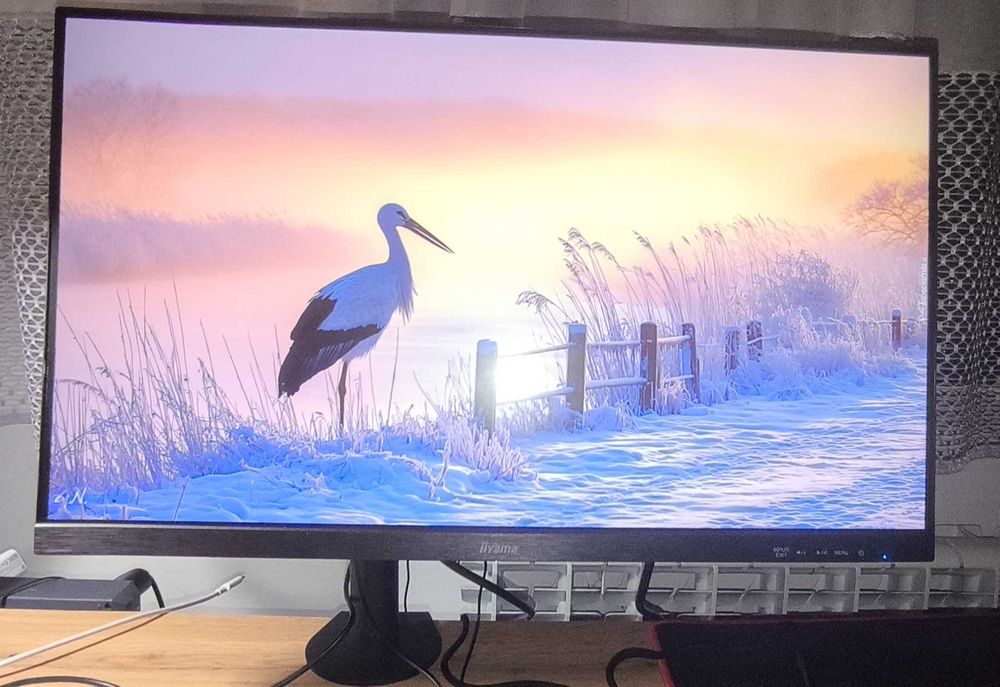 Monitor iiyama g master 24"