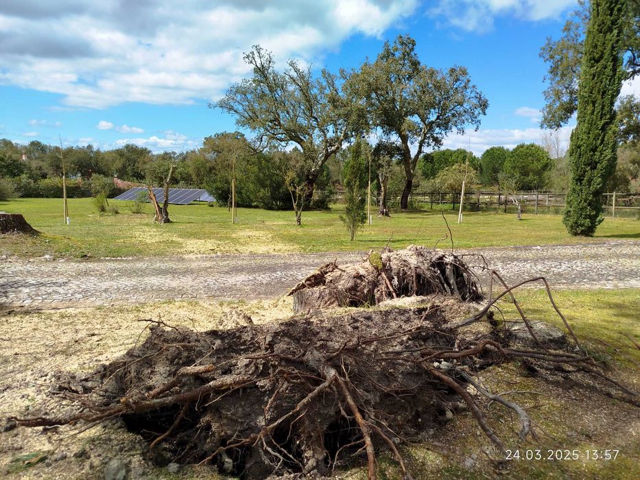 Serviços de Jardineiro Cascais / Estoril – Manutenção de Jardins