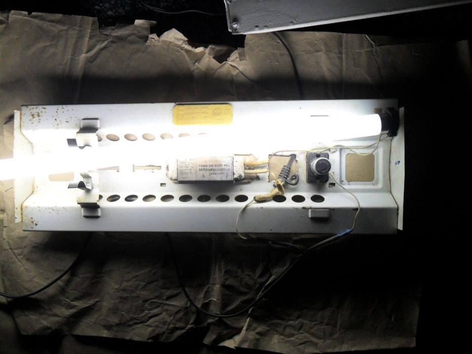 Гуппи,аквариумные растения.