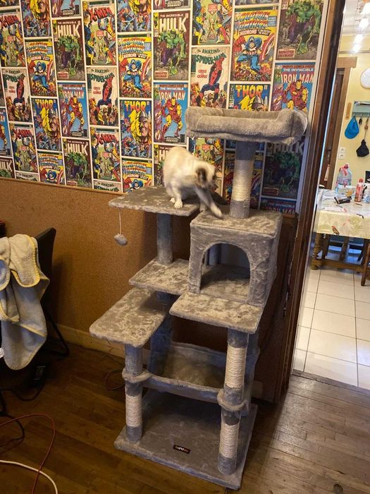 Drapak dla kota Wysoki duży drapak dla kota domek legowisko 143cm NOWY