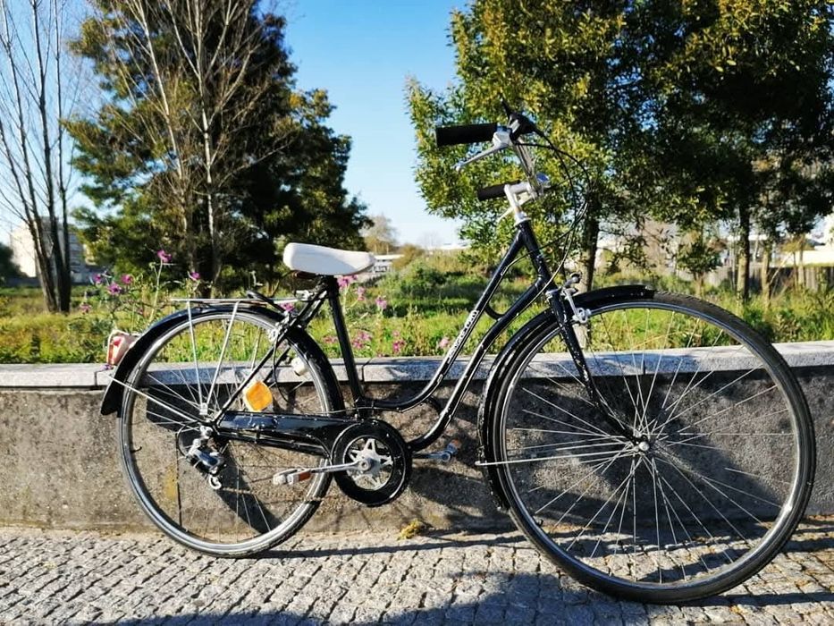 Bicicleta Pasteleira