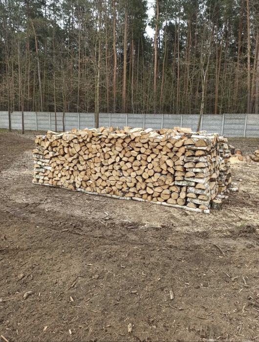 Drewno drzewo opałowe brzoza/ osika / dab/ sosna