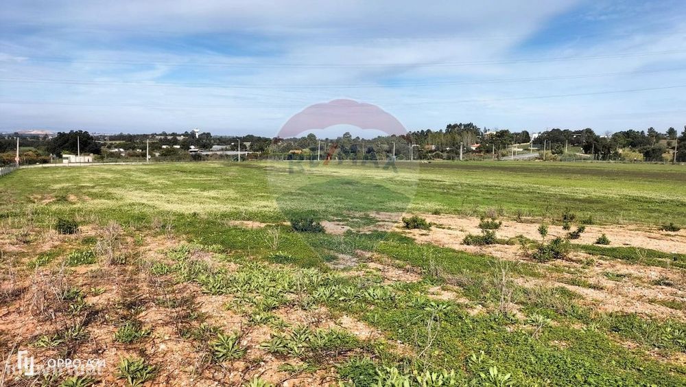 Terreno  para venda