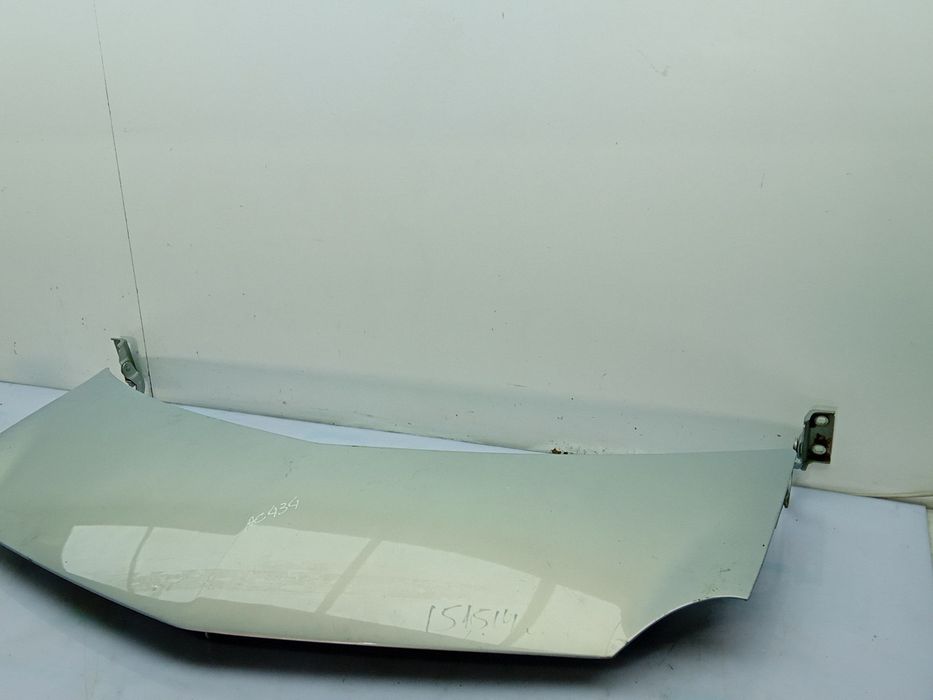 Capot RENAULT Modus/Grand Modus (F/JP0_)
