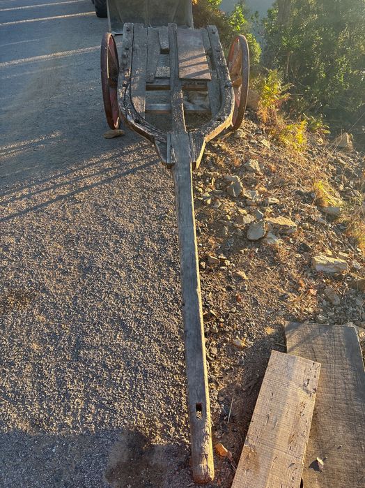 Carro de vacas antigo