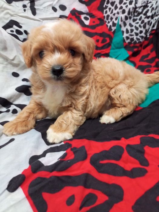 Ось,це я,весь такий очаровашечний!