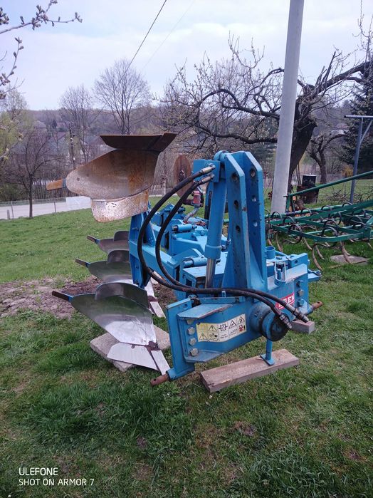 Odam suczke za darmo