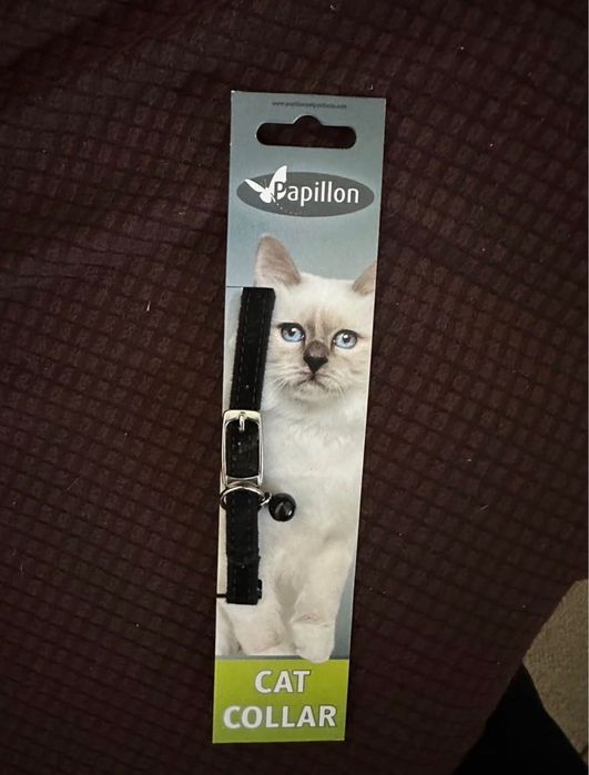 Coleira gatinho nova