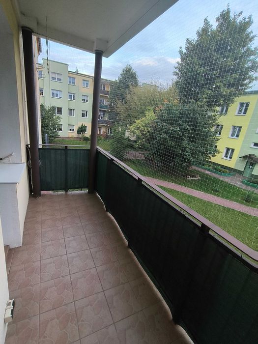 Zdjęcie 8