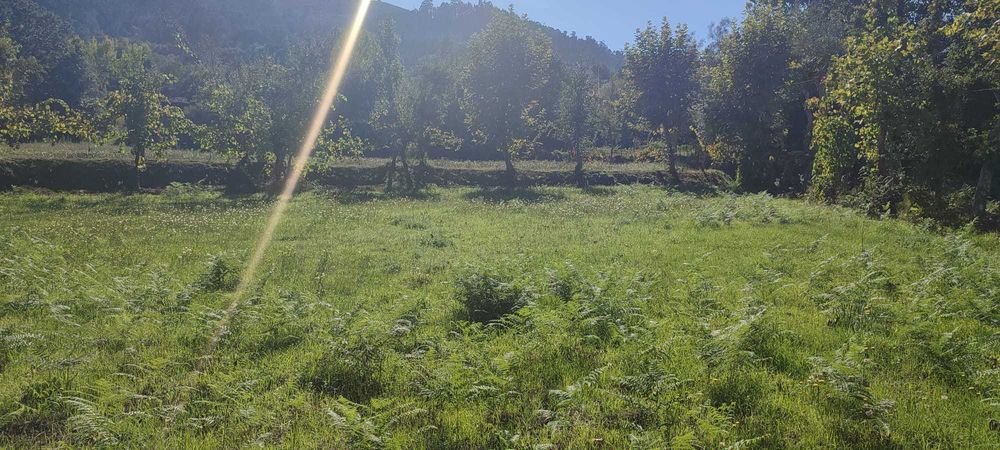 Vendo terreno com 1.074 m² em Souto, Terras de Bouro