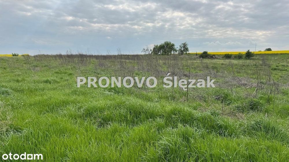Sprzedam działkę z potencjałem