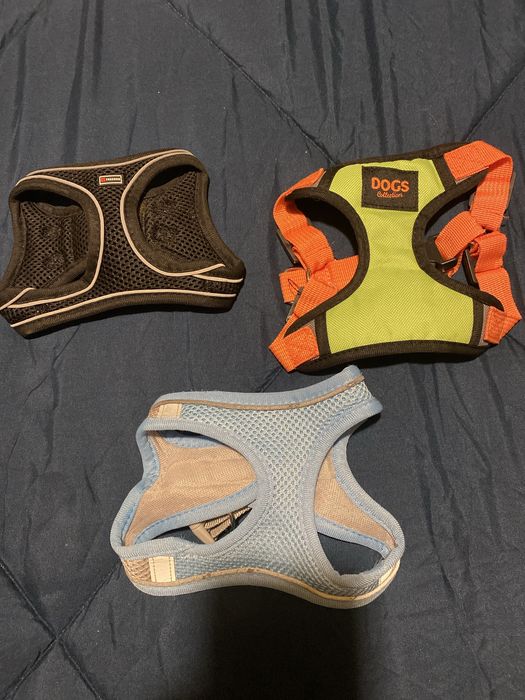 peitoral de cachorro