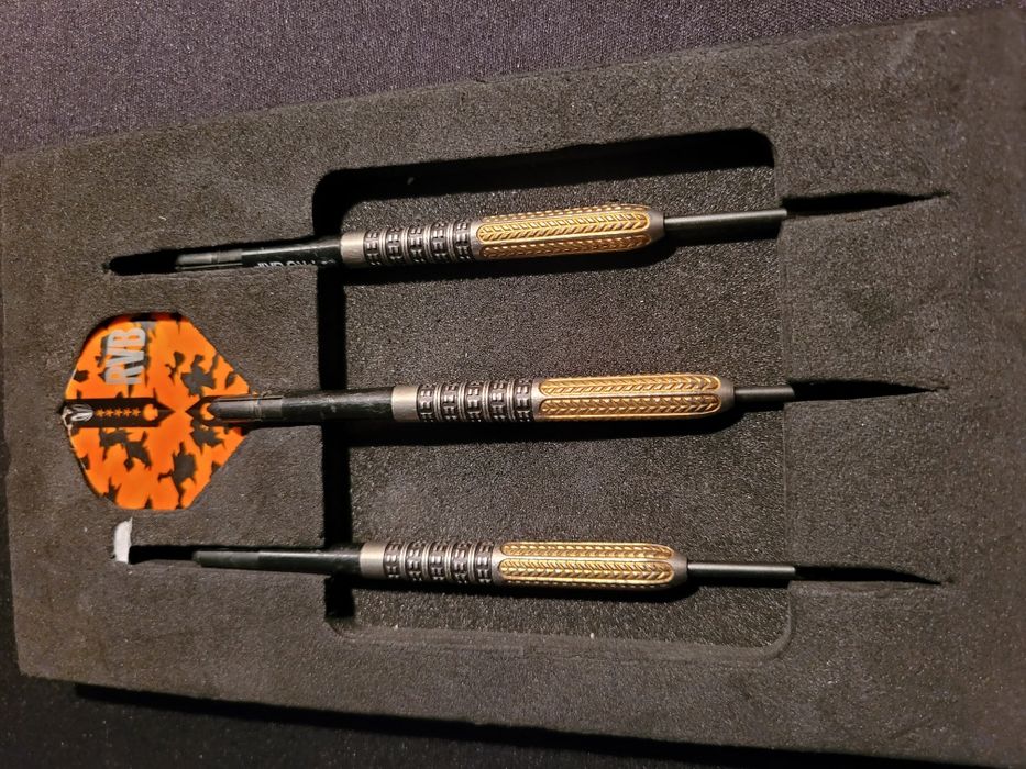 Lotki target raymond van barneveld 25 gram
