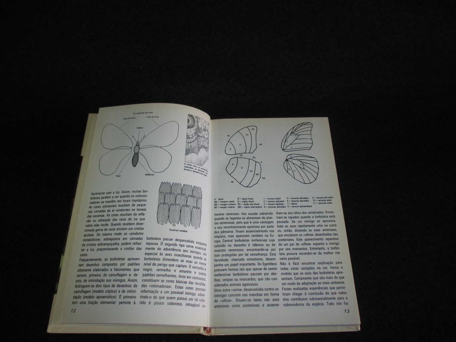 Livro Borboletas Helgard Reichholf-Riehm O Mundo da Natureza