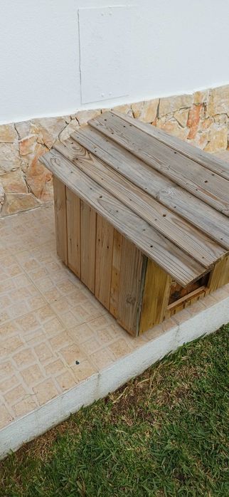 Casota cachoro medio porte