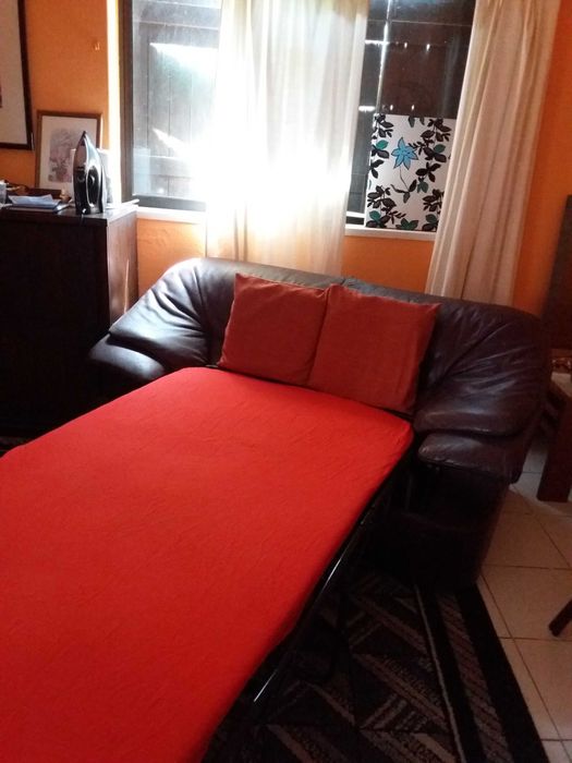 Candeeiros vasos quadros sofá cama c/colchão