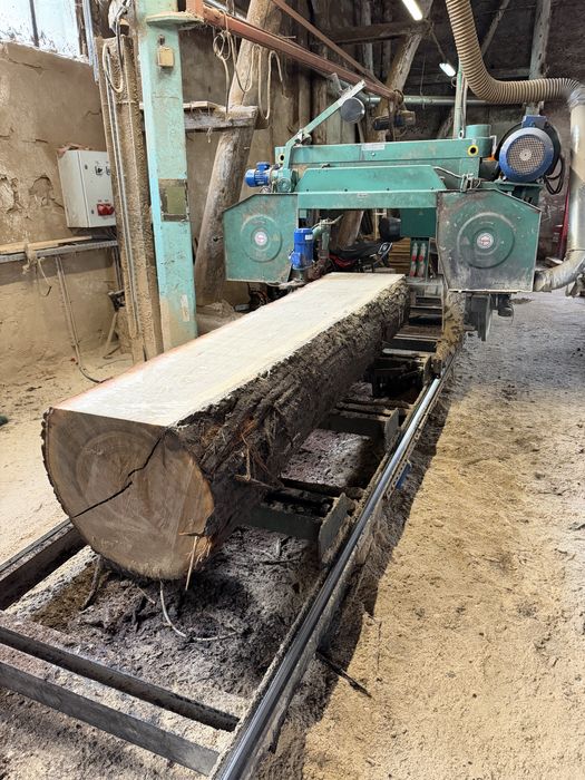 Trak taśmowy Drozdowski ttm 1100