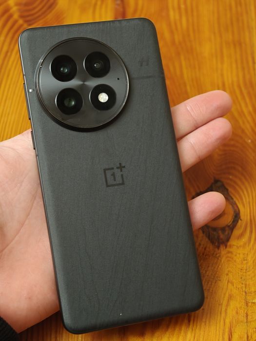 Oneplus 13 12/256