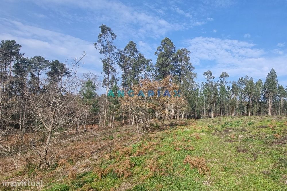 ANG1017 - Terreno de 4174m2 à Venda em Maceira, Leiria