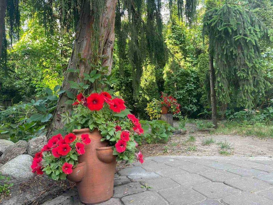 Новое Общежитие Варшава Заселись сегодня ! Говорим по RU UA PL Hostel