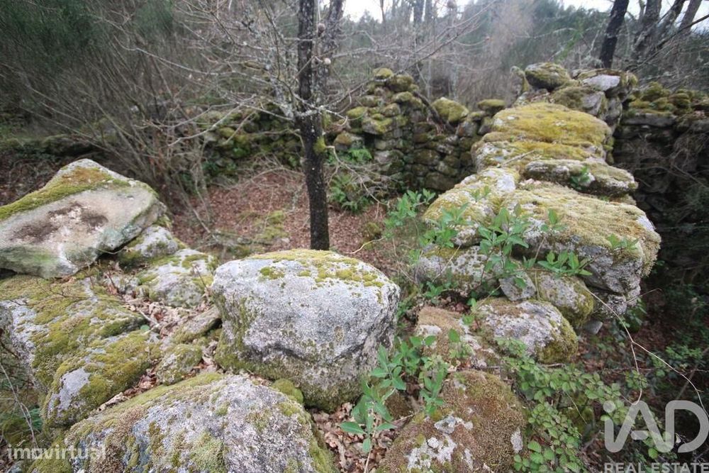 Casa rústica em Cambra e Carvalhal de Vermilhas de 3971 m2