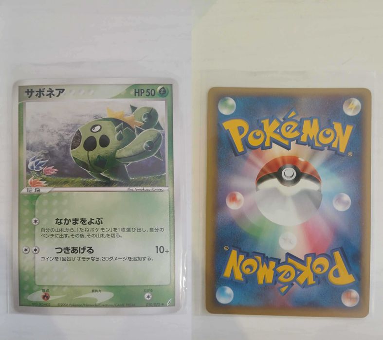 NM Cacnea (PCG8 010)